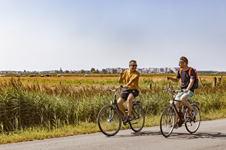zwei Männer in sommerlicher Kleidung radeln durch die Felder mit der Skyline von Blankenberge in der Ferne