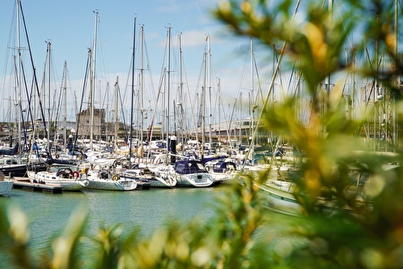 Boote auf dem blauen Wasser mit etwas Natur im Vordergrund